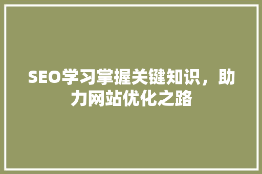 SEO学习掌握关键知识，助力网站优化之路