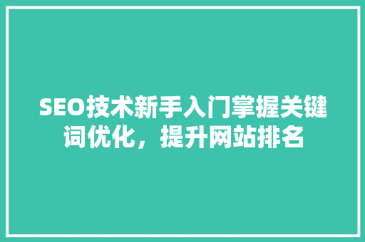 SEO技术新手入门掌握关键词优化，提升网站排名