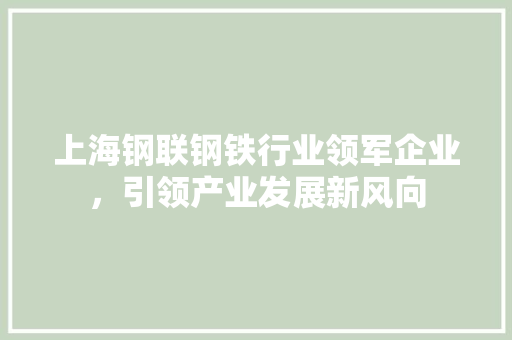 上海钢联钢铁行业领军企业，引领产业发展新风向