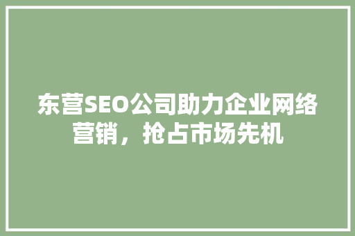 东营SEO公司助力企业网络营销，抢占市场先机