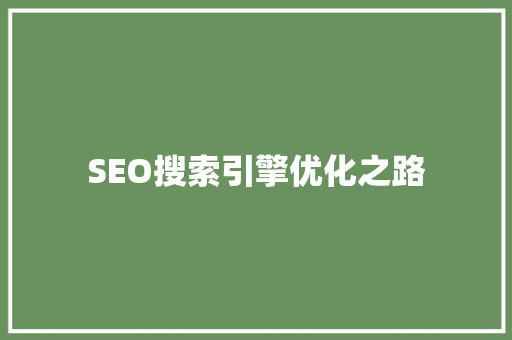 SEO搜索引擎优化之路