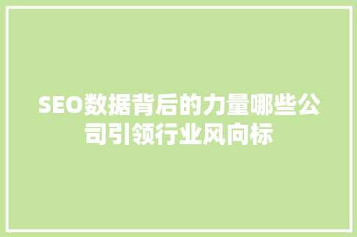 SEO数据背后的力量哪些公司引领行业风向标