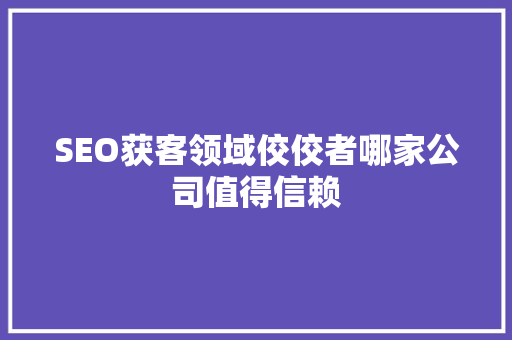 SEO获客领域佼佼者哪家公司值得信赖