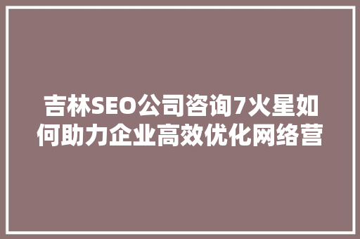 吉林SEO公司咨询7火星如何助力企业高效优化网络营销