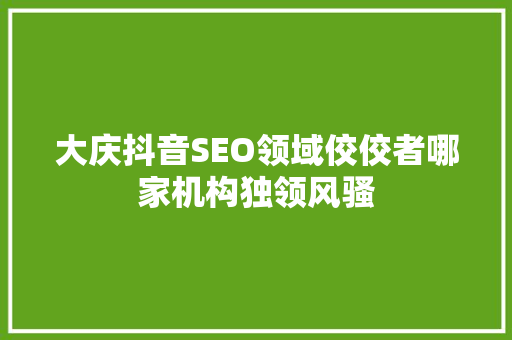 大庆抖音SEO领域佼佼者哪家机构独领风骚