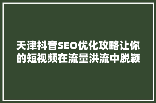 天津抖音SEO优化攻略让你的短视频在流量洪流中脱颖而出