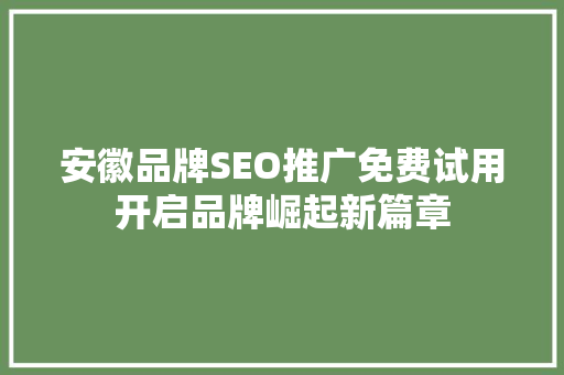 安徽品牌SEO推广免费试用开启品牌崛起新篇章