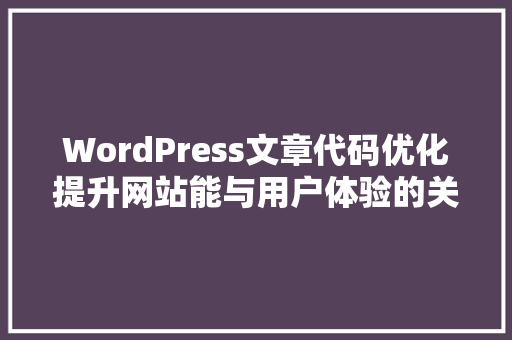 WordPress文章代码优化提升网站能与用户体验的关键