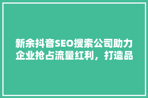 新余抖音SEO搜索公司助力企业抢占流量红利，打造品牌新高度  第1张