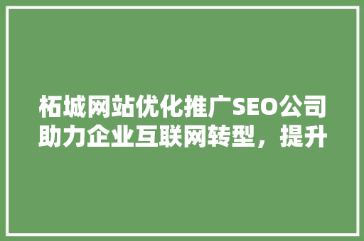柘城网站优化推广SEO公司助力企业互联网转型，提升品牌影响力