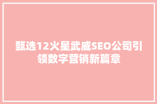 甄选12火星武威SEO公司引领数字营销新篇章