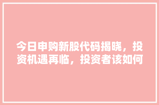 今日申购新股代码揭晓，投资机遇再临，投资者该如何把握
