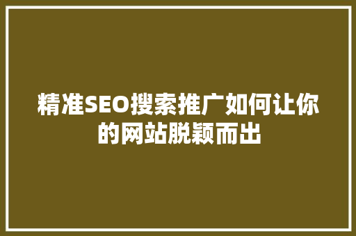 精准SEO搜索推广如何让你的网站脱颖而出