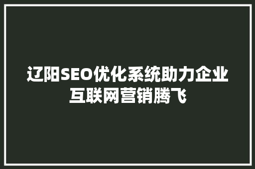 辽阳SEO优化系统助力企业互联网营销腾飞