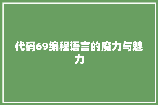 代码69编程语言的魔力与魅力