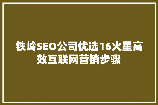 铁岭SEO公司优选16火星高效互联网营销步骤