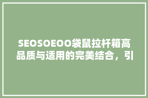 SEOSOEOO袋鼠拉杆箱高品质与适用的完美结合，引领旅行新潮流