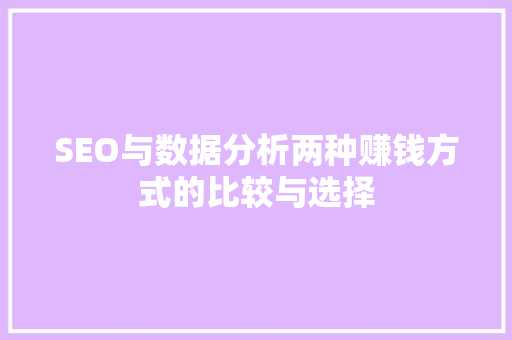 SEO与数据分析两种赚钱方式的比较与选择