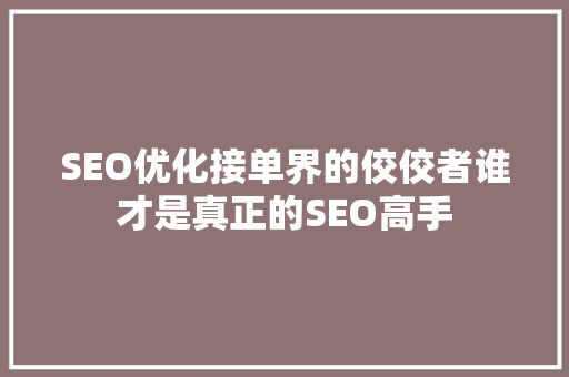 SEO优化接单界的佼佼者谁才是真正的SEO高手