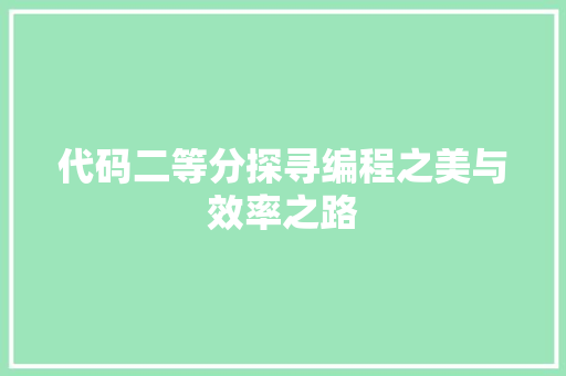 代码二等分探寻编程之美与效率之路