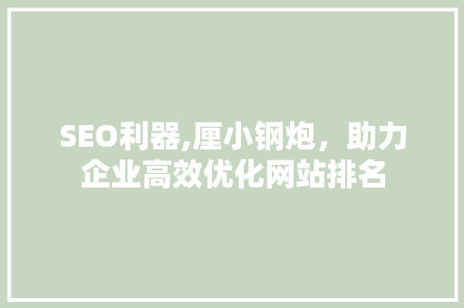 SEO利器,厘小钢炮，助力企业高效优化网站排名