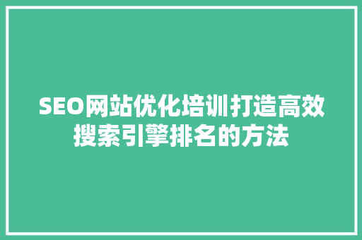 SEO网站优化培训打造高效搜索引擎排名的方法