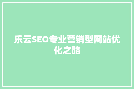乐云SEO专业营销型网站优化之路