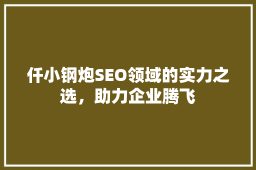 仟小钢炮SEO领域的实力之选，助力企业腾飞