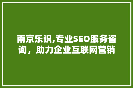 南京乐识,专业SEO服务咨询，助力企业互联网营销