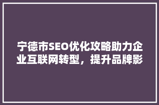 宁德市SEO优化攻略助力企业互联网转型，提升品牌影响力  第1张