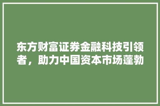 东方财富证券金融科技引领者，助力中国资本市场蓬勃发展