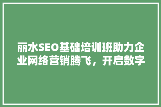 丽水SEO基础培训班助力企业网络营销腾飞，开启数字化时代新篇章