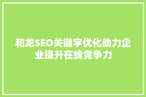 和龙SEO关键字优化助力企业提升在线竞争力