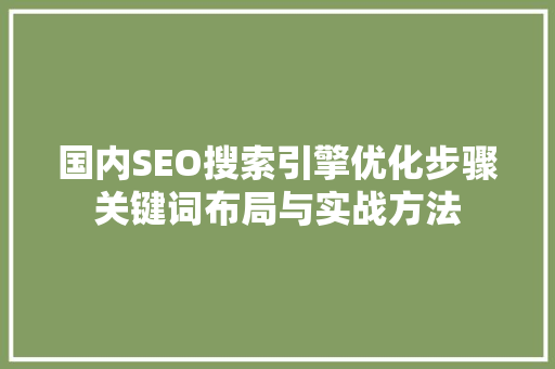 国内SEO搜索引擎优化步骤关键词布局与实战方法