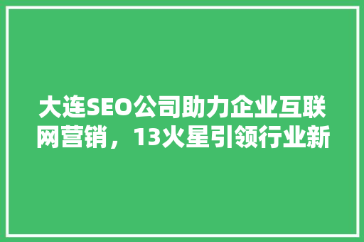 大连SEO公司助力企业互联网营销，13火星引领行业新风向