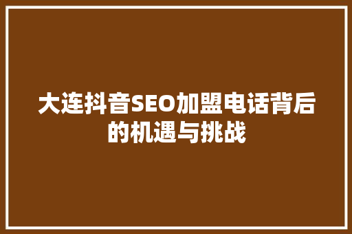 大连抖音SEO加盟电话背后的机遇与挑战