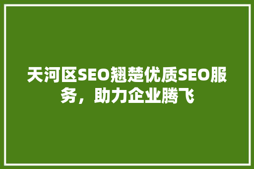 天河区SEO翘楚优质SEO服务，助力企业腾飞