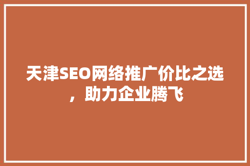 天津SEO网络推广价比之选，助力企业腾飞