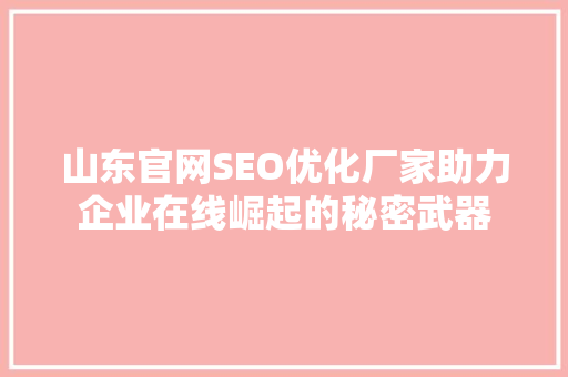 山东官网SEO优化厂家助力企业在线崛起的秘密武器