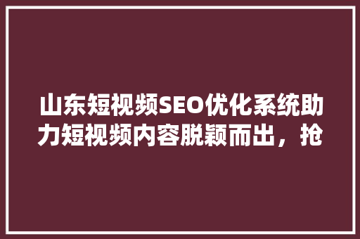 山东短视频SEO优化系统助力短视频内容脱颖而出，抢占流量高地