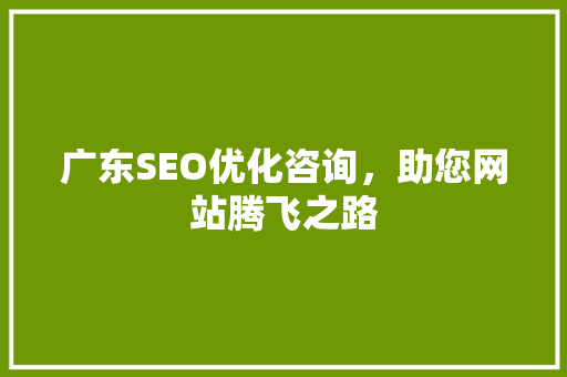 广东SEO优化咨询，助您网站腾飞之路