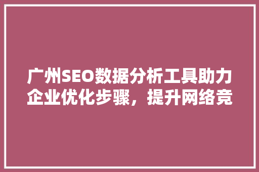 广州SEO数据分析工具助力企业优化步骤，提升网络竞争力