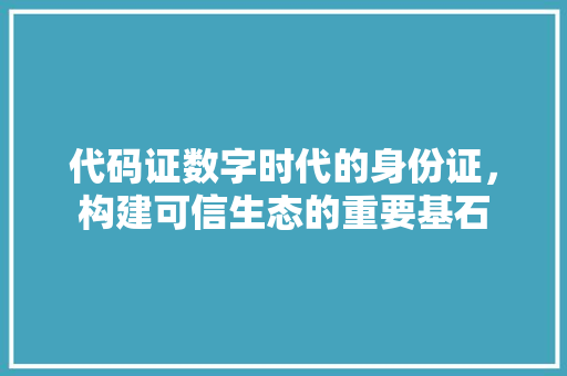 代码证数字时代的身份证，构建可信生态的重要基石