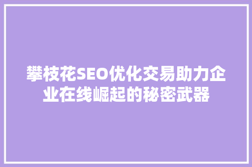 攀枝花SEO优化交易助力企业在线崛起的秘密武器