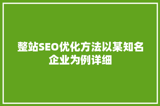 整站SEO优化方法以某知名企业为例详细