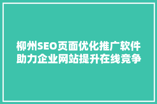 柳州SEO页面优化推广软件助力企业网站提升在线竞争力