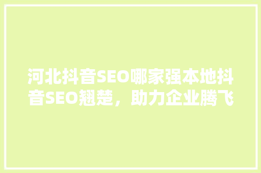 河北抖音SEO哪家强本地抖音SEO翘楚，助力企业腾飞