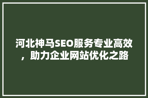 河北神马SEO服务专业高效，助力企业网站优化之路