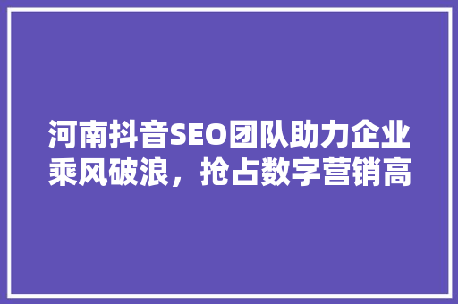 河南抖音SEO团队助力企业乘风破浪，抢占数字营销高地