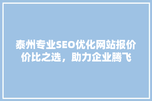 泰州专业SEO优化网站报价价比之选，助力企业腾飞